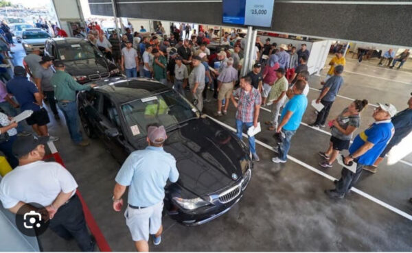 AUCTION ACCESS